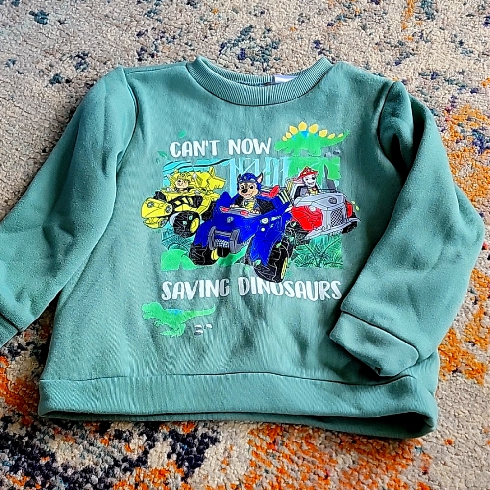 Toddler Paw patrol pullover